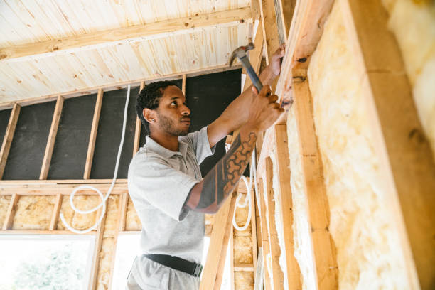 Best Attic Insulation Installation  in Freeburg, IL