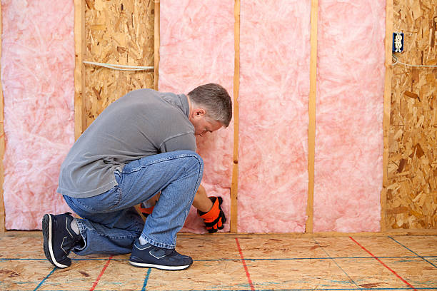 Best Insulation for New Construction  in Freeburg, IL